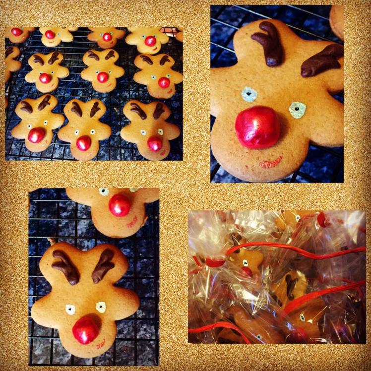 12342365_508169889365780_6948198898196974848_n